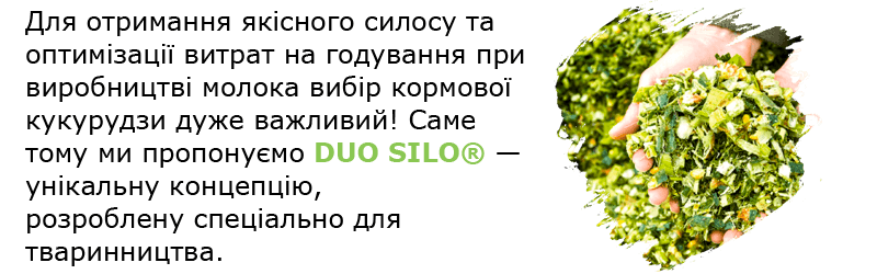 Для отримання якісного силосу та оптимізації витрат на годування при виробництві молока вибір кормової кукурудзи дуже важливий! Саме тому ми пропонуємо DUO SILO® — унікальну концепцію, розроблену спеціально для тваринництва. 