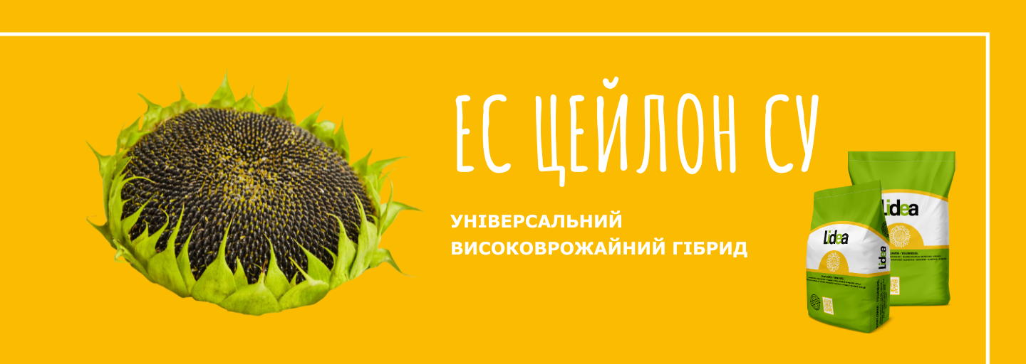 ЕС ЦЕЙЛОН СУ - універсальний гібрид соняшнику