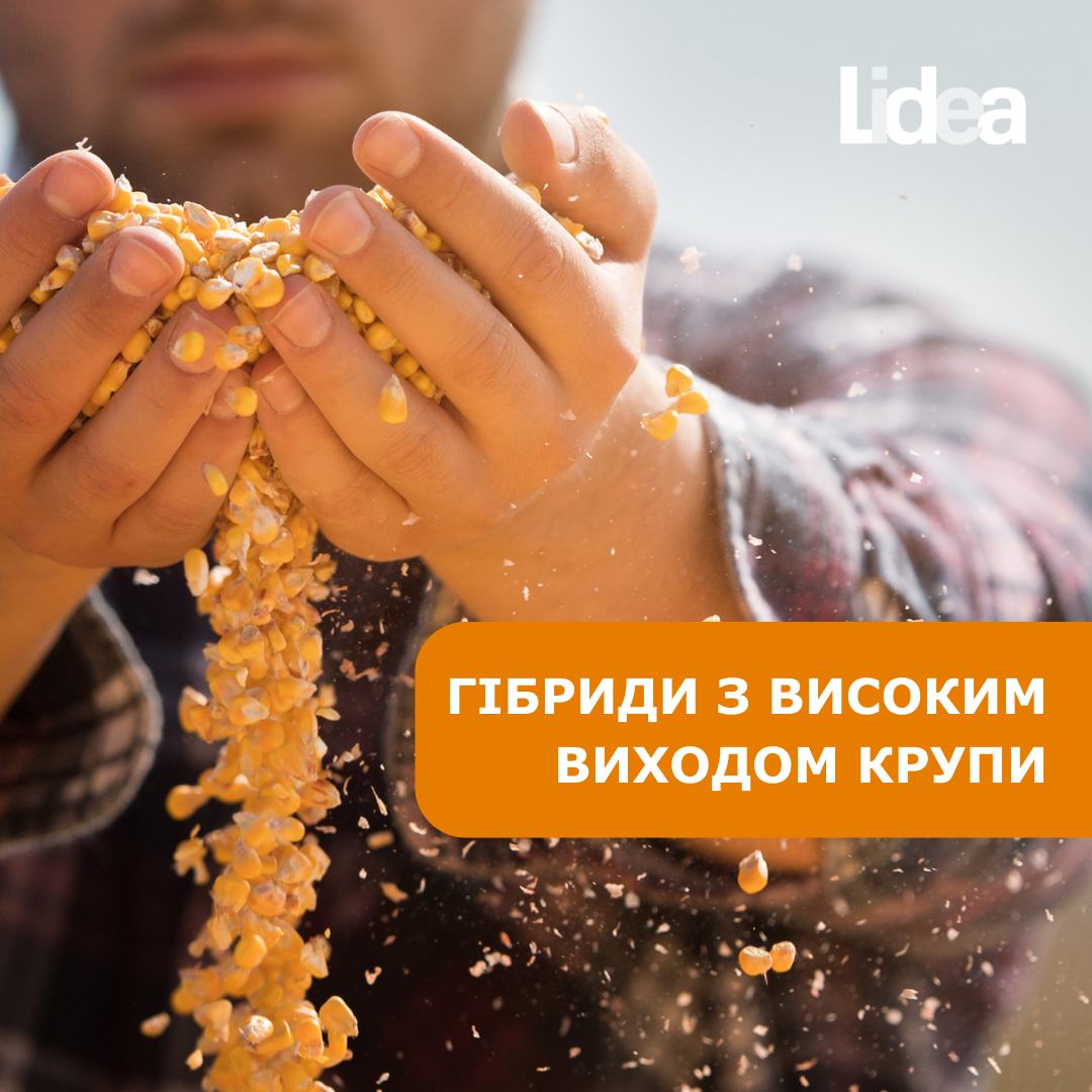 Компанія LIDEA пропонує два унікальні продукти – ЛІД 1015 Ц та Тоніфі КС