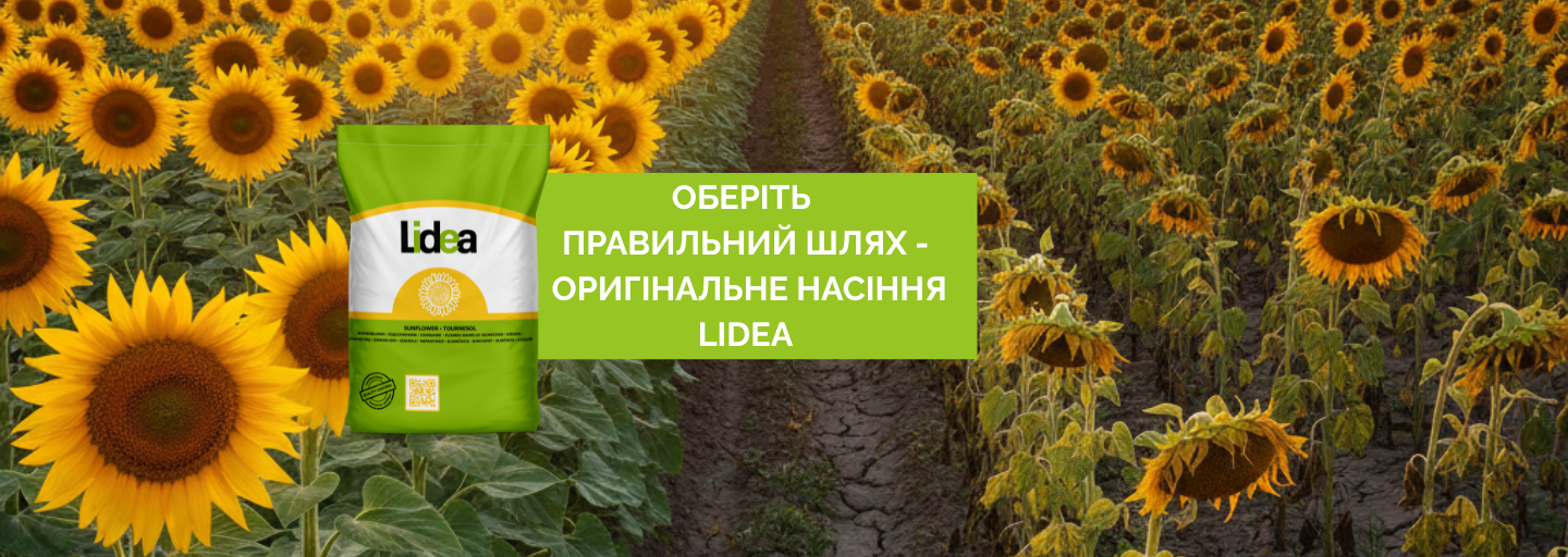 Купуйте насіння Лідеа тільки у офіційних дистриб'юторів
